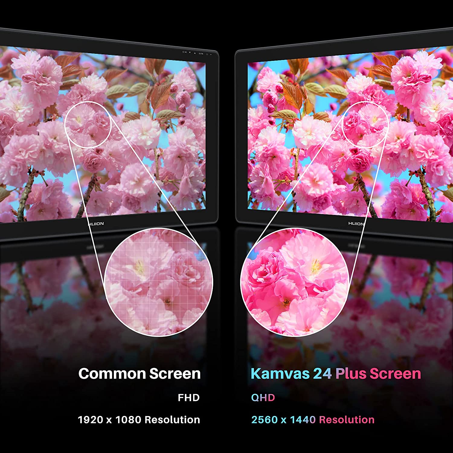 Kamvas 24+ 2.5K QHD (GS-2402)